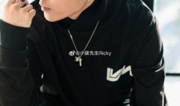 罗志祥最新爆韩爆料,揭秘娱乐圈不为人知的秘密